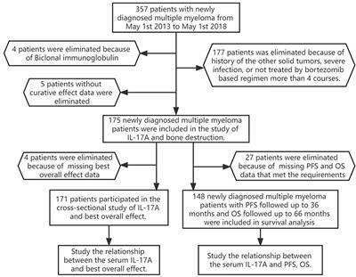 High serum IL-17A is associated with bone destruction in newly diagnosed multiple myeloma patients